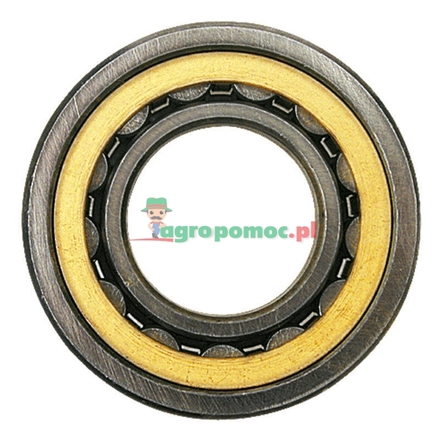  Cylindrical roller bearing